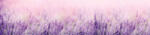 Dimex LAVENDER öntapadós konyhai poszter, 260x60 cm (KI-260-124)
