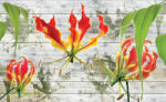 Consalnet Red lilies poszter, fotótapéta (254 x 184 cm) (C1-1373V4)
