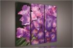 Consalnet Virágok, 3 darabos vászonkép, 90x80 cm méretben (C5-904S6)