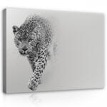 Consalnet Vászonkép, Jaguár, 100x75 cm méretben (C5-13997O1)