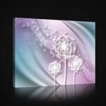 Consalnet Pitypang, vászonkép, 60x40 cm méretben (C5-2626O4)