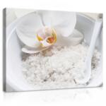 Consalnet Vászonkép, Orchidea és só, 100x75 cm méretben (C5-11779O1)