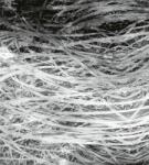 Dimex Széna fotótapéta, poszter, vlies alapanyag, 225x250 cm (MS-3-0382)