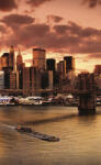 Dimex NEW YORK fotótapéta, poszter, vlies alapanyag, 150x250 cm (MS-2-0002)