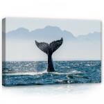 Consalnet Delfin ugrás közben, vászonkép, 60x40 cm méretben (C5-12720O4)