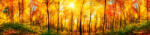 Dimex SUNNY FOREST öntapadós konyhai poszter, 260x60 cm (KI-260-084)