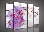 Consalnet Vászonkép, 5 darabos Orchidea 150x100 cm méretben (C5-1005S12)