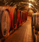 Dimex WINE BARRELS fotótapéta, poszter, vlies alapanyag, 225x250 cm (MS-3-0247)