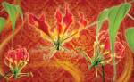 Consalnet Red lilies poszter, fotótapéta (312 x 219 cm) (C1-1372VEXXL)