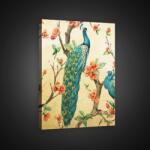 Consalnet Páva, vászonkép, 40x60 cm méretben (C5-2592O4)