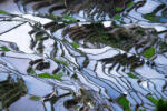 Dimex Vlies Fotótapéta - Rice terraces fields - 375x250 cm (MS-5-1827)