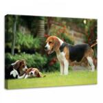 Consalnet Kutya, vászonkép, 70x50 cm méretben (C5-11375O7)