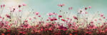 Dimex COSMOS FLOWERS öntapadós konyhai poszter, 180x60 cm (KI-180-126)