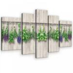 Consalnet Vászonkép, 5 darabos, Növények 170x100 cm méretben (C5-10059S4A)