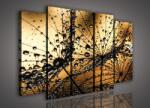 Consalnet Vászonkép, 5 darabos Vízcseppes pitypang 150x100 cm méretben (C5-984S12)