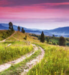 Dimex BLOOMING HILLS fotótapéta, poszter, vlies alapanyag, 225x250 cm (MS-3-0061)