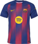 Nike FCB M NK DFADV JSY SS MATCH Albastru, Roșu, Galben L (HJ4544-456)
