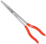 Farys FR4554 Cleste