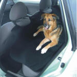 Carcommerce Ülésvédő takaró állatokhoz (CC42096)