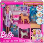 Mattel Barbie állatorvos gipszklinika játékszett rózsaszín hajú babával - Mattel (JFX93) - jatekshop