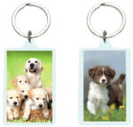 Bear Toys 3D Kutyák akril kulcstartó (CO372406)