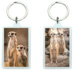 Bear Toys 3D Szurikáták akril kulcstartó (CO377142)