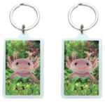 Bear Toys 3D Axolotl akril kulcstartó (CO377135)