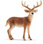 Schleich Schleich: Cerb cu coadă albă 14818 (SLH14818) Figurina