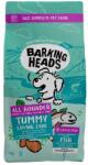 Barking Heads & Meowing Heads All Hounder Tummy Loving Care Fish 2 x 12 kg