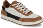 Globe Pantofi sport Casual Bărbați HOLAND Globe Maro 44