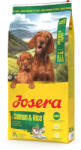 Josera Mother & Puppy Salmon & Rice | Lazacos és rizses prémium kutyatáp kölyök- és szoptató kutyáknak - 12, 5 kg