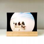 Focus Nordic AB Fotóállvány állvány 10x15 világos fa (7391879046149)