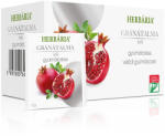 Herbária filteres gyümölcstea 20x2 g (Gránátalma) (10000049)