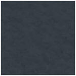 SINTRA Egyszínű fekete színárnyalatú vlies tapéta Sherwood 420362 420362 (420362)