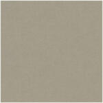 SINTRA Egyszínű arany színárnyalatú vlies tapéta Evora 459454 459454 (459454)