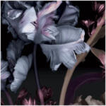 ERISMANN Virágmintás fekete-rózsaszín színárnyalatú Vlies tapéta Fashion for walls 4 2540N81 2540N81 (2540N81)