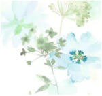 NOVAMUR Virágmintás kék színárnyalatú Vlies tapéta Kylie 81624 81624 (81624)