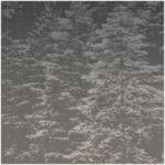 ERISMANN Erdő mintás fekete színárnyalatú Vlies tapéta Fashion for walls 4 2553N72 2553N72 (2553N72)