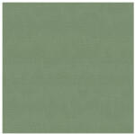 ERISMANN Egyszínű zöld vlies tapéta Casual/Chic 10262-07 10262-07 (10262-07)