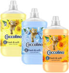 Coccolino öblítő válogatás 3x1, 7L (3x68 mosás) (Coccolino-cs-1)