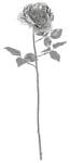 Bizzotto Trandafir artificial argintiu 67 cm (0895214deco)
