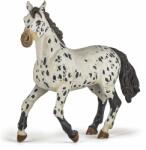 Rase de Cai si Ponei PAPO FIGURINA IAPA APPALOOSA NEAGRA (Papo51539) Figurina