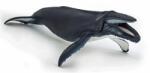 Universul acvatic PAPO FIGURINA BALENA CU COCOASA (Papo56001) Figurina