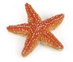 Universul acvatic PAPO FIGURINA STEA DE MARE (Papo56050) - etoys Figurina