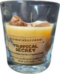 Candelis Lumânare parfumată cu fitil lemn, TROPICAL SECRET - Fructe Exotice, Vanilie, Pepene Galben, 130g