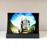 Focus Nordic AB Fénykép állvány, fekete, 15 cm (7391879046125)