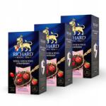 Richard Royal Goji & Erdei Eper 42, 5g (25 filteres tasak, fekete tea) (RH01036)