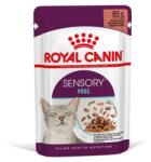 Royal Canin Sensory Feel Gravy (12*85G) macskatáp