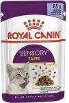 Royal Canin Sensory Taste Jelly (12*85G) macskatáp