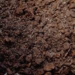 TERRABLOOM All-Purpose Substrate 5 L